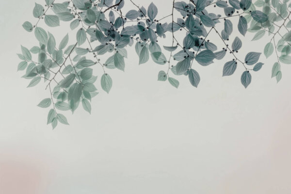 AMOUR_GLIX2_AMB：圖片 4