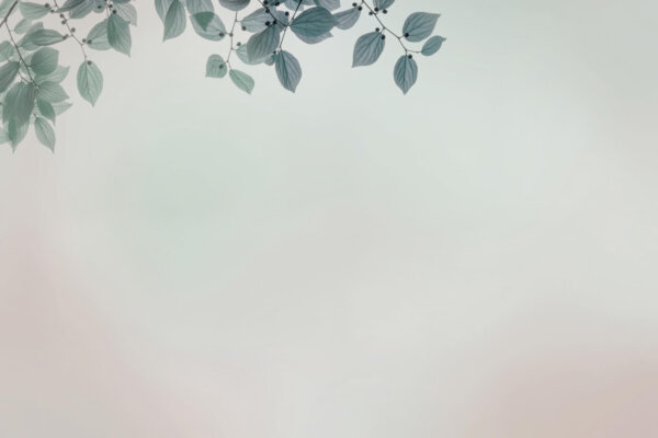 AMOUR_GLIX2_AMB：圖片 5