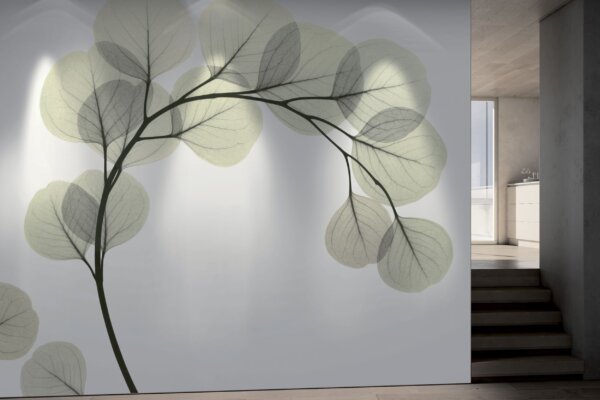 LIGHT_BREEZE