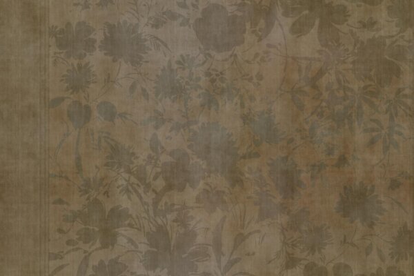 MISTRAL_GLFO251A AMB：圖片 6