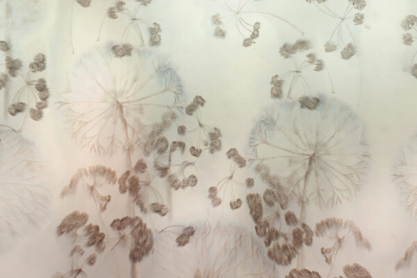 MON_TRESOR_GLIX37_AMB：圖片 5
