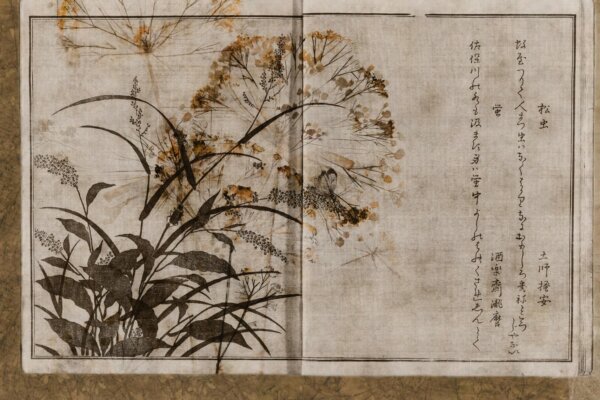 NARA_GLAR25：圖片 2