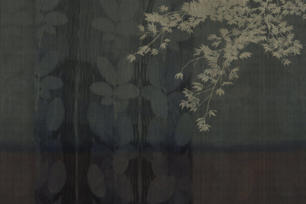 NOTTE_BELLA_GLIX41_AMB：圖片 2
