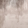 POEME_GLIX49_AMB：圖片 3