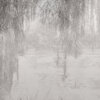 POEME_GLIX49_AMB：圖片 5